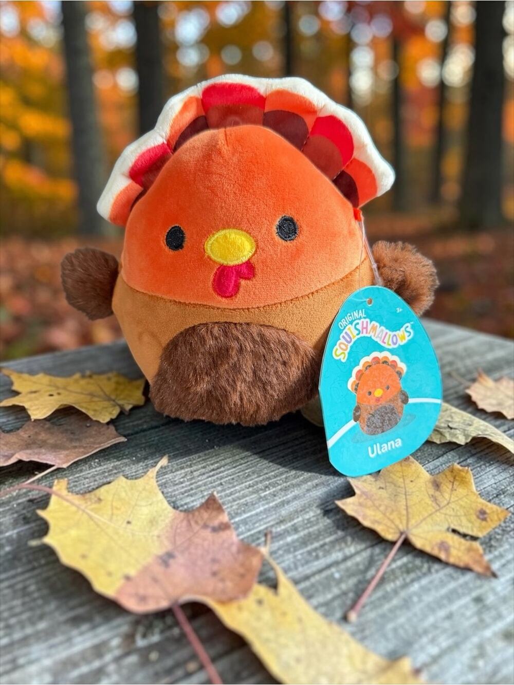 Squishmallows Kellytoy Fall
Autumn Harvest Squad
Ulana the Turkey 7.5in NWT